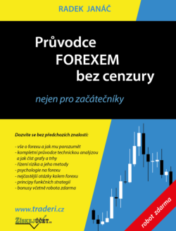 uvod-pruvodce forexem-250